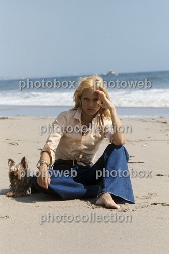 Sylvie vartan exclusive - vartan,