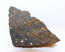 Minerals Collection - Pyrite Seed in Slate - Saint Créac, France - 150g