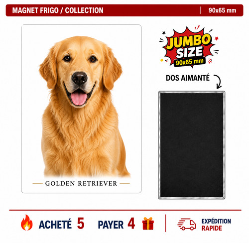 Magnet golden retriever 90x65 - magnet,