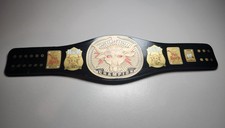 WWE Slap Band Series 2 The Rock Brahma Bull WWE Championship