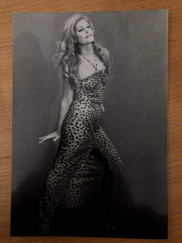 Dalida robe léopard - dalida,
