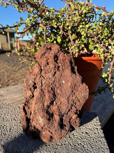 One large red lava rock - one, large,