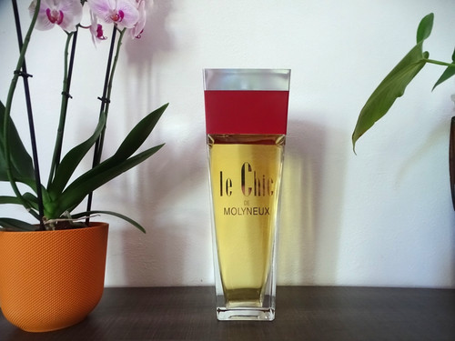 Factice géant eau - , toilette