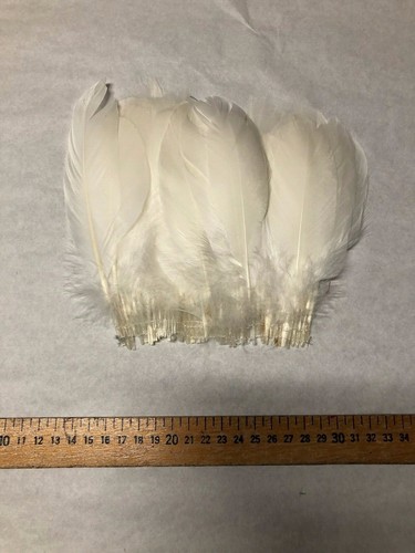 Frange plumes blanches