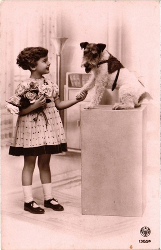 Cpa fox terrier - cpa, a