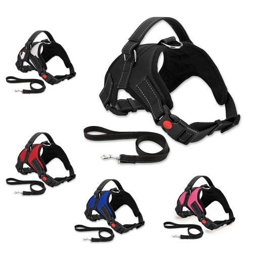 Harnais pour chien réglable - chien,