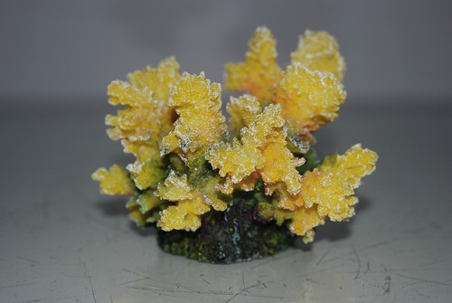 Détaillé aquarium corail - détaillé,