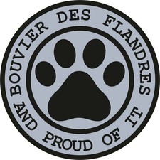 Bouvier des Flandres Proud
