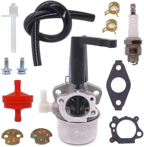 696065 carburateur pour briggs - carburateur,