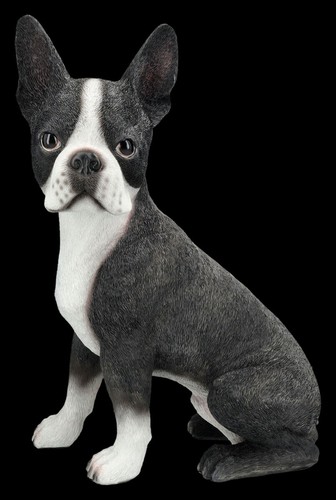 Figurine chien boston - de,