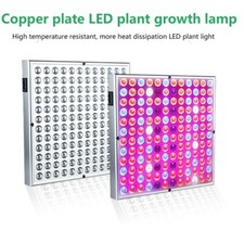 lampe succulente lampe