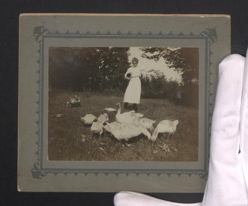 Photographie jeune fille - , oie