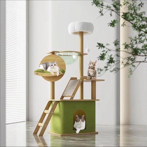 Arbre chat pour - arbre,