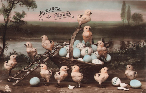 Paques panier oeufs - cp,