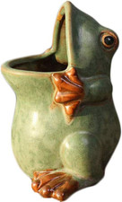 Ceramic Frog Shaped Plant