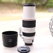 Canon EF 100-400mm F/4.5-5.6L