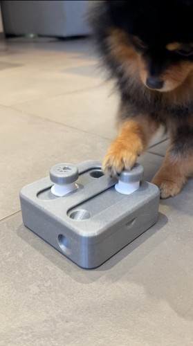 Jouet intéractif pour chien - jouet,