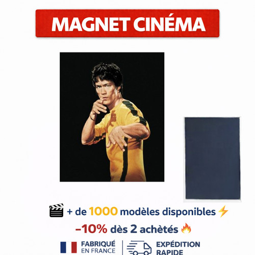 Magnet film karaté culte - karaté,