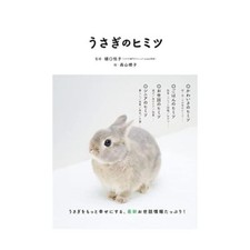 Graphicsha Le secret du lapin