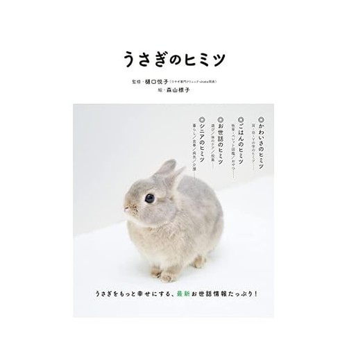 Graphicsha secret lapin - le,