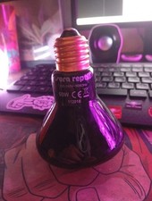 Lampe Chauffante Pour Terrarium 