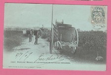 33 - PAUILLAC - Les Porteurs de Hottes aux Vendanges
