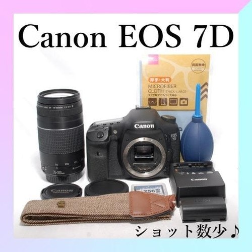Appareil photo reflex