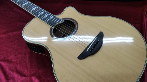 Guitare électrique acoustique