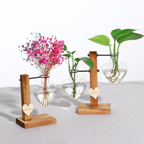 Terrarium tube essai - en,