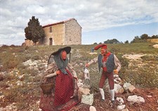 13-SANTONS DE PROVENCE DE SIMONE JOUGLAS-N�3905-B/0093