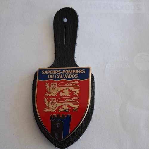 Insigne sapeurs pompiers - insigne,