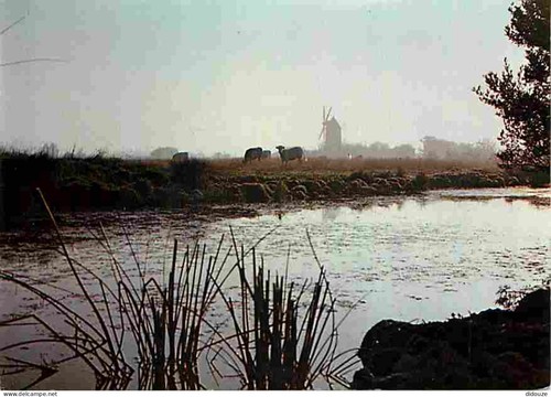 Carte postale vendée - carte,