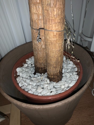 Gravier pour jardin - , et