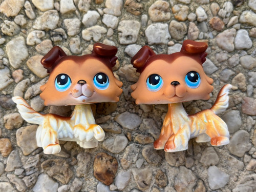 Lps littlest pet shop - pet, colley