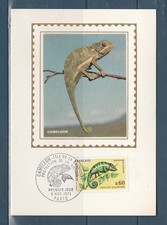 carte  1er jour  nature