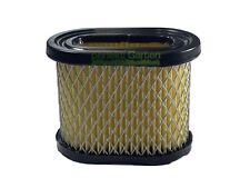 Filtre à air pour moteur MTD 214IP 216IP Briggs & Stratton B&S 690610 / Toro ...