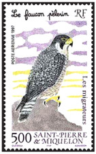 Timbre Oiseaux Rapaces Faucons