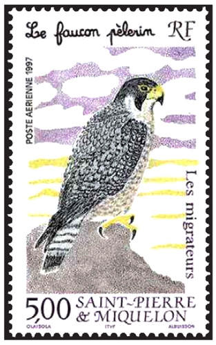 Timbre oiseaux rapaces faucons - timbre,