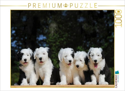 Calvendo puzzle bobtail 1000 - |,