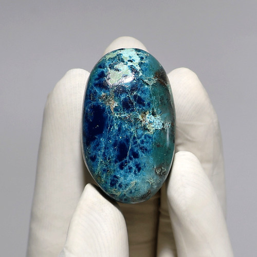 Perceptive awakening palmier - perceptive,