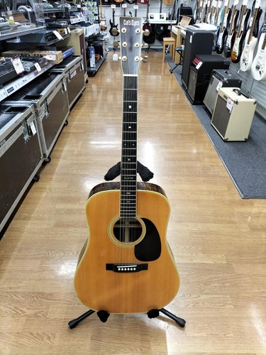 Guitare acoustique cat - guitare, cat's