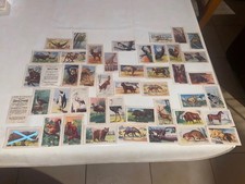 IMAGE CHROMO VIGNETTE ENTREMETS FRANCORUSSE HISTOIRE NATURELLE 1 1960 1CHOIX