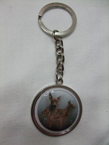 Porte clés métal chien - métal,