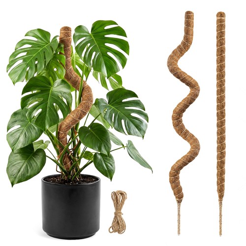 Tuteur monstera pour - tuteur,