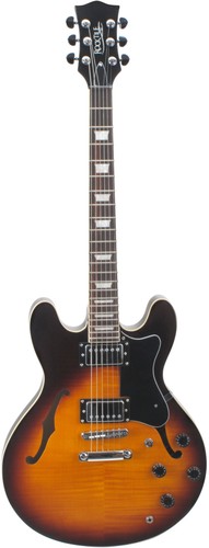 Guitare electrique pickup - guitare,