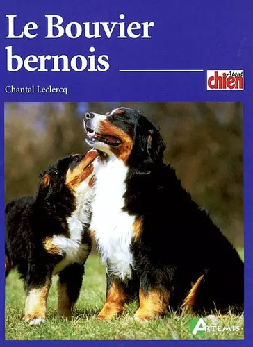 Bouvier bernois chantal - le, bernois,
