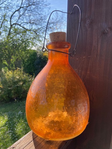Attrape guêpes verre - gm,