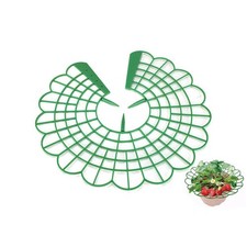 Support Plante Fraise Support