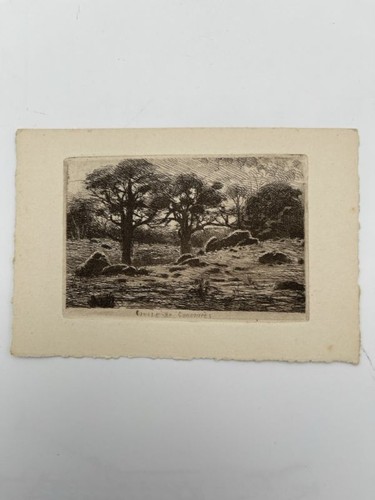 Gravure eau forte causse - gravure, eau-forte.