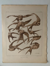 J.HABERT-DYS PLANCHE